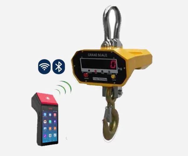 DCE Smart Crane Scale
